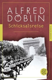 Cover von Schicksalsreise