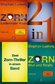 Cover von Lodernder Hass / Blut und Strafe - Zwei Zorn-Thriller in einem Band