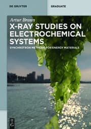Cover von X-Ray Studies on Electrochemical Systems