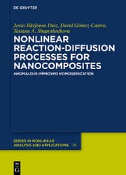 Cover von Nonlinear Reaction-Diffusion Processes for Nanocomposites
