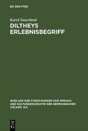 Cover von Diltheys Erlebnisbegriff