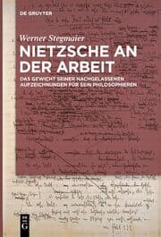 Cover von Nietzsche an der Arbeit