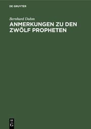 Cover von Anmerkungen zu den zwölf Propheten