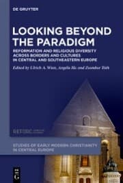 Cover von Looking beyond the Paradigm