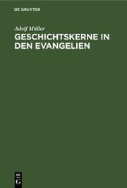 Cover von Geschichtskerne in den Evangelien