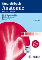 Cover von Kurzlehrbuch Anatomie