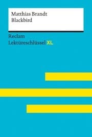 Cover von Blackbird von Matthias Brandt