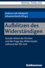 Cover von Aufblitzen des Widerständigen