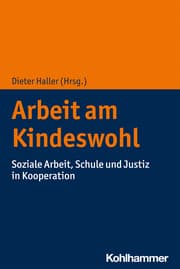 Cover von Arbeit am Kindeswohl