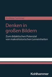 Cover von Denken in großen Bildern