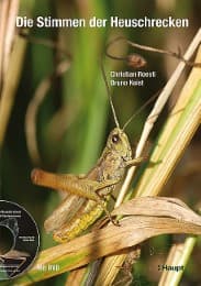 Cover von Die Stimmen der Heuschrecken