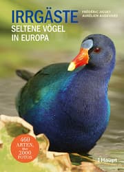 Cover von Irrgäste
