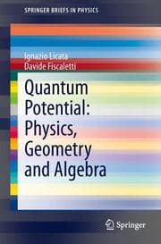 Cover von Quantum potential: Physics, Geometry and Algebra