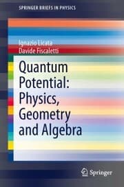 Cover von Quantum Potential: Physics, Geometry and Algebra