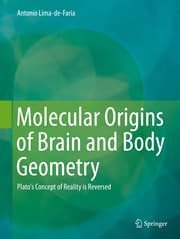 Cover von Molecular Origins of Brain and Body Geometry