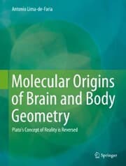 Cover von Molecular Origins of Brain and Body Geometry