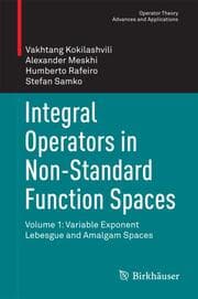 Cover von Integral Operators in Non-Standard Function Spaces