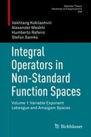 Cover von Integral Operators in Non-Standard Function Spaces
