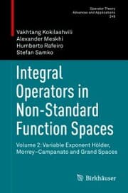 Cover von Integral Operators in Non-Standard Function Spaces