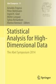 Cover von Statistical Analysis for High-Dimensional Data