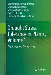 Cover von Drought Stress Tolerance in Plants, Vol 1