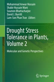 Cover von Drought Stress Tolerance in Plants, Vol 2
