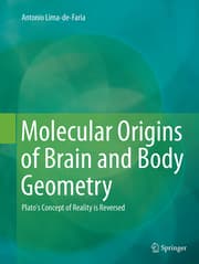 Cover von Molecular Origins of Brain and Body Geometry