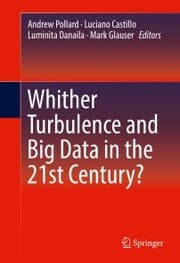 Cover von Whither Turbulence and Big Data in the 21st Century?