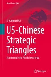 Cover von US-Chinese Strategic Triangles