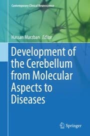Cover von Development of the Cerebellum from Molecular Aspects to Diseases