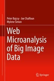 Cover von Web Microanalysis of Big Image Data