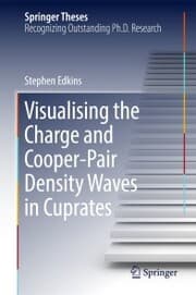 Cover von Visualising the Charge and Cooper-Pair Density Waves in Cuprates