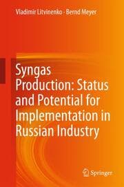 Cover von Syngas Production: Status and Potential for Implementation in Russian Industry