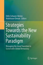 Cover von Strategies Towards the New Sustainability Paradigm