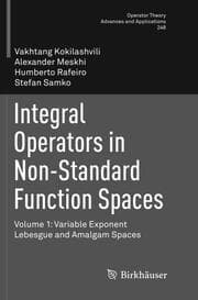 Cover von Integral Operators in Non-Standard Function Spaces