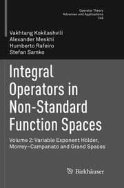 Cover von Integral Operators in Non-Standard Function Spaces