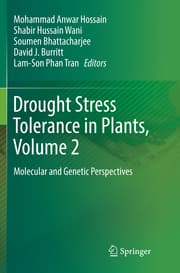 Cover von Drought Stress Tolerance in Plants, Vol 2