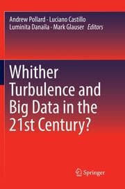 Cover von Whither Turbulence and Big Data in the 21st Century?