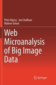 Cover von Web Microanalysis of Big Image Data
