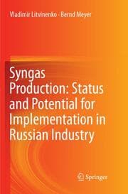 Cover von Syngas Production: Status and Potential for Implementation in Russian Industry