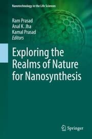 Cover von Exploring the Realms of Nature for Nanosynthesis