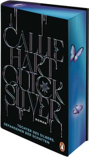 Cover von Quicksilver - Tochter des Silbers. Gefangener der Schatten