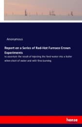 Cover von Report on a Series of Red-Hot Furnace Crown Experiments