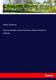 Cover von Kultur-und Sittenbilder aus Steiermark: Skizzen, Studien und Beiträge zur Volkskunde