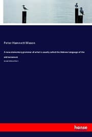 Cover von A new elementary grammar of what is usually called the Hebrew Language of the old testament