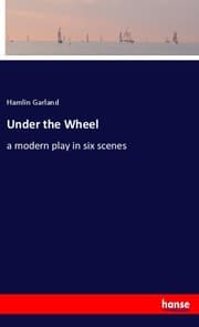 Cover von Under the Wheel