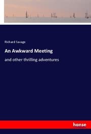 Cover von An Awkward Meeting