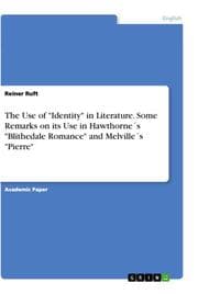 Cover von The Use of 'Identity' in Literature. Some Remarks on its Use in Hawthorne's 'Blithedale Romance' and Melville's 'Pierre'
