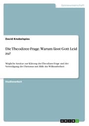 Cover von Die Theodizee-Frage. Warum lässt Gott Leid zu?