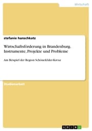 Cover von Wirtschaftsförderung in Brandenburg. Instrumente, Projekte und Probleme